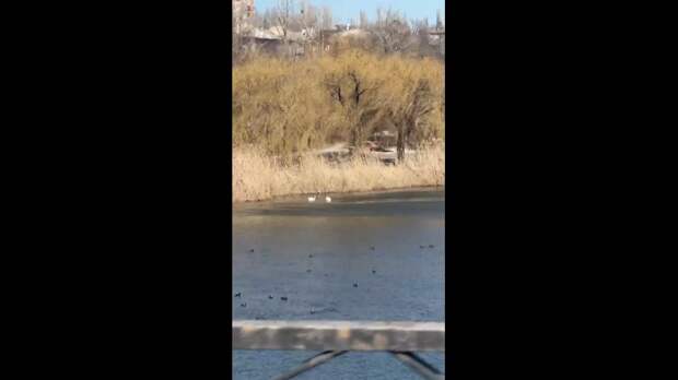 Лебеди на Кальмиусе https://t.me/webmoney_dn/316817Video: Видео от Донецкая группа новостей|Донецк.ДНР