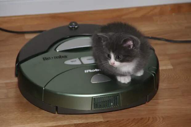 Робот-пылесос Roomba меняет представление о роботах, 2002 год. Робот, который незаметно занимается уборкой? В то время это звучало как чистая фантастика. Тем не менее, Roomba был вполне реальным, хоть и недешёвым устройством, изменившим представление широкой публики о домашних роботах.