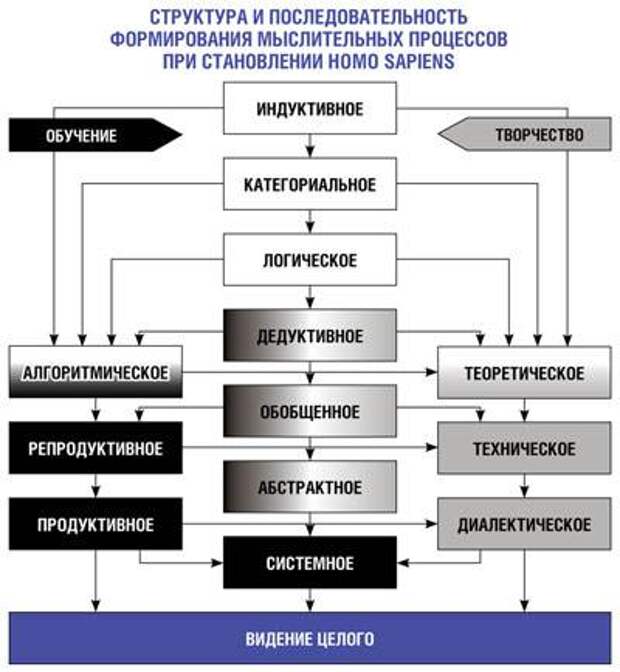 Экзамен на слабоумие Экзамен на слабоумие