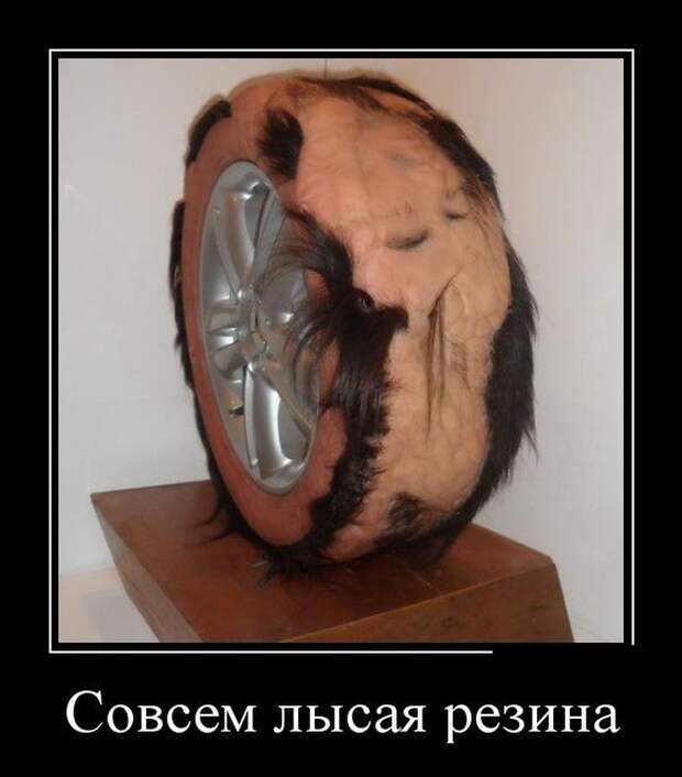 Демотиваторы (30 фото)