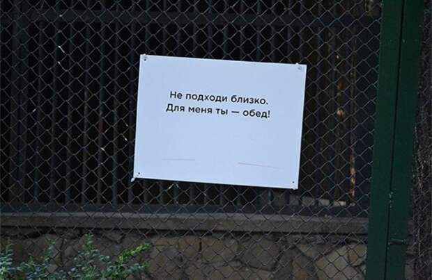 Добро пожаловать в зоопарк! Добро пожаловать в зоопарк!