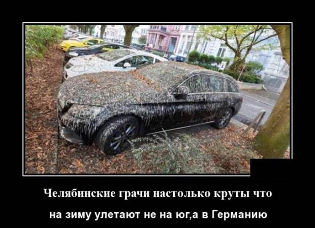 Демотиваторы (30 фото)