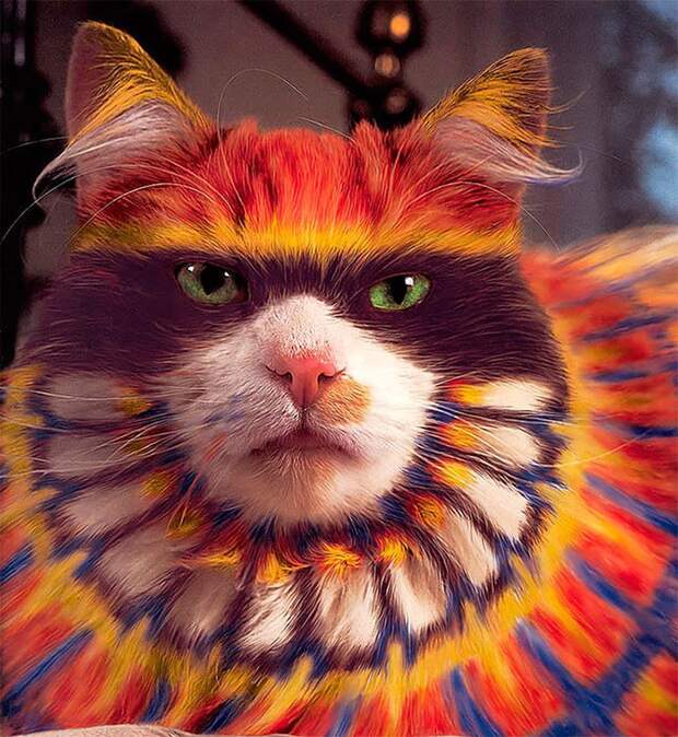 catpainting02 Кэтпейнтинг — это форма искусства или издевательство над животными?