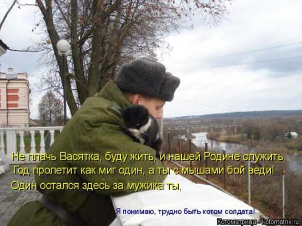Котоматрицы (картинки с надписями)