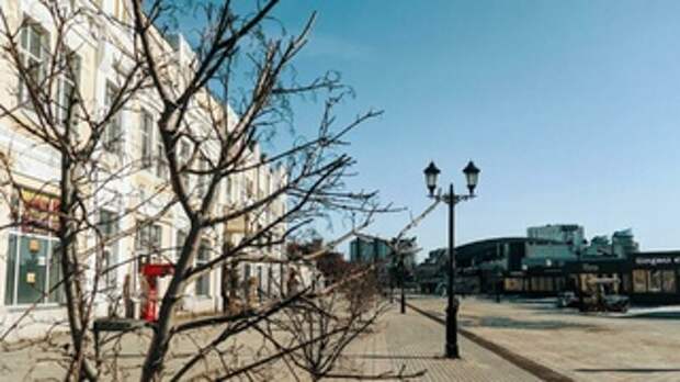 Тепло в Барнауле / Фото: amic.ru     