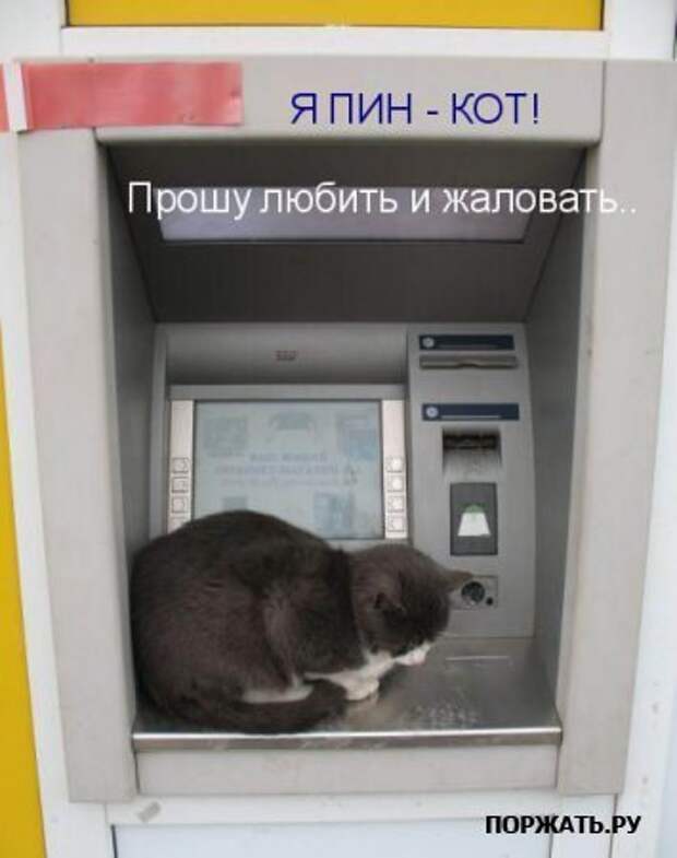 Ржачные картинки животных, смешные надписи.