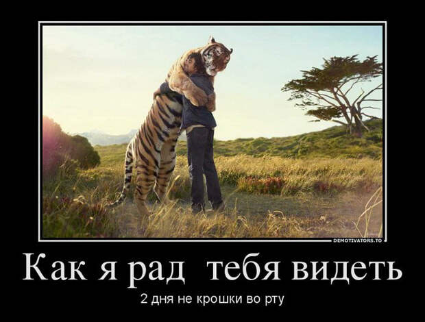 Демотиваторы и мотиваторы. Демотиваторы и веселые картинки_18-04-2013