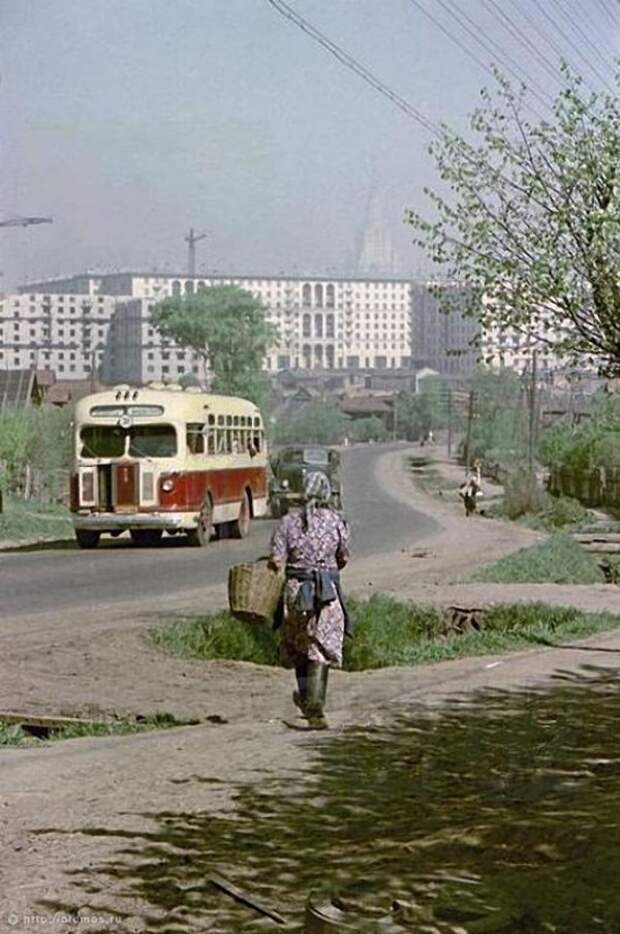 mskbus12 mskbus12 Первый московский автобус
