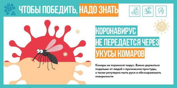 СИ 4 округ газета alt