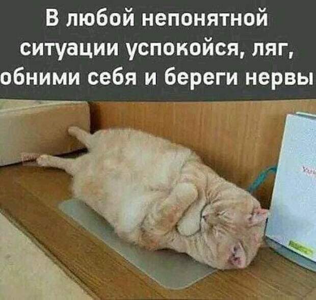 Мужик решил завязать. Идет мимо магазина, думает: — Все, не вхожу!...