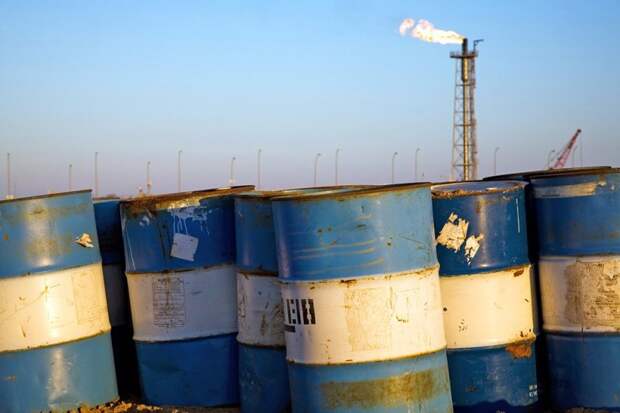 Баррель нефти интересное, слон, топ, факты, черный ящик
