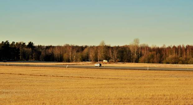 Страховщики НСА осуществили выплаты аграриям 45 регионов России