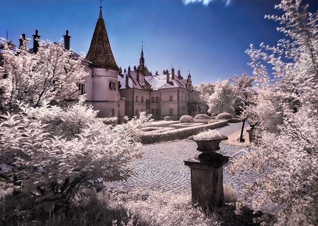 infrared17 infrared17 Инфракрасная фотография от Олега Григорьева
