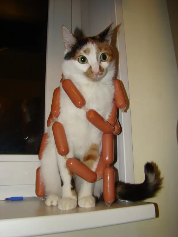  ,  !    