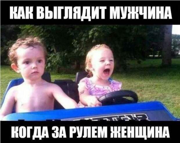 Авто приколы (40 фото)