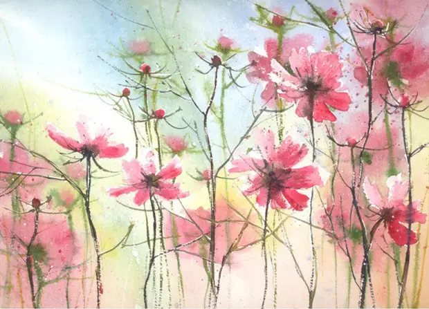       (Malgorzata Szczecinska)