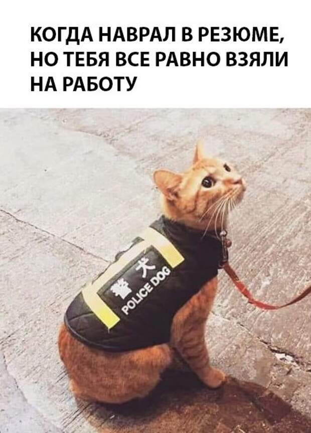 Прикольные картинки абавсём:D