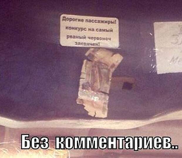 Веселые “маршрутки” маршрутка, юмор
