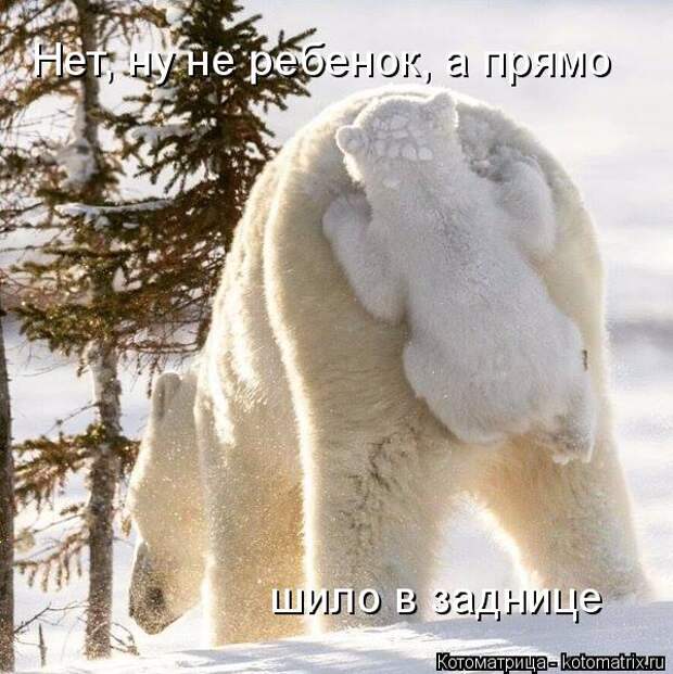 Котоматрица: Нет, ну не ребенок, а прямо шило в заднице