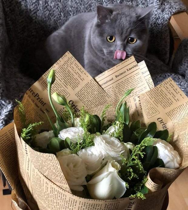22Â Ð¿Ð¸ÑÐ¾Ð¼ÑÐ°, ÐºÐ¾ÑÐ¾ÑÑÐµ ÑÑÐ¸ÑÐ°ÑÑ, ÑÑÐ¾ ÑÑÐ°Ð»Ð¾Ð½ Â«ÑÐ¾ÑÐ¾ÑÐ¸Ð¹ Ð¼Ð°Ð»ÑÑÐ¸ÐºÂ» Ð¼Ð¾ÑÐ°Ð»ÑÐ½Ð¾ ÑÑÑÐ°ÑÐµÐ»