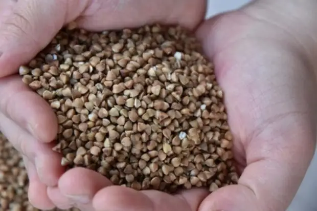 Почему в Европе не едят гречку