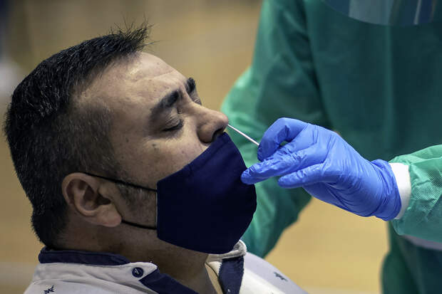 Ученые выявили новый вид коронавируса в Европе