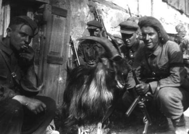Парад победителей. Как партизаны отметили победу над фашизмом вов, день в истории, минск, парад, партизанское движение