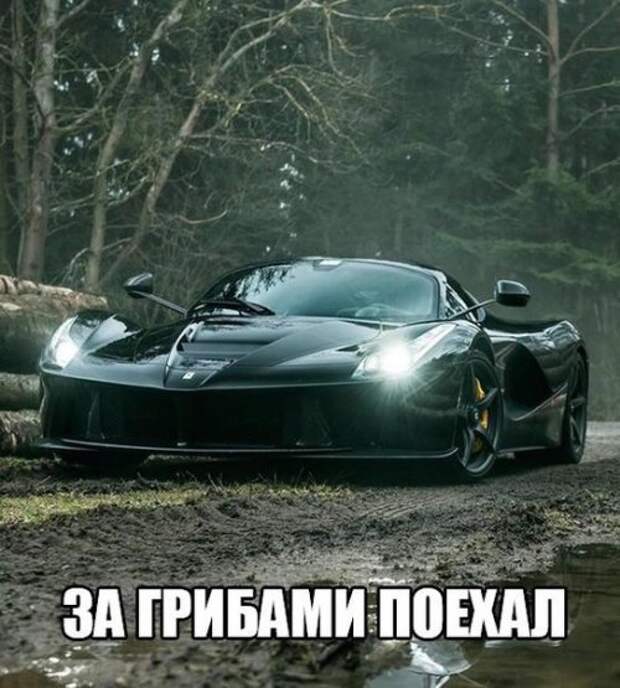 АВТОприколы на Бугаге (26 фото)