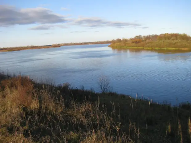 Сколько рыбы в водоеме?