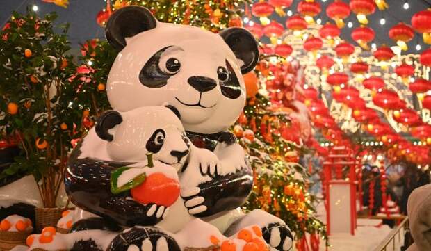 Центр столицы украсили для празднования Нового года в традициях Востока