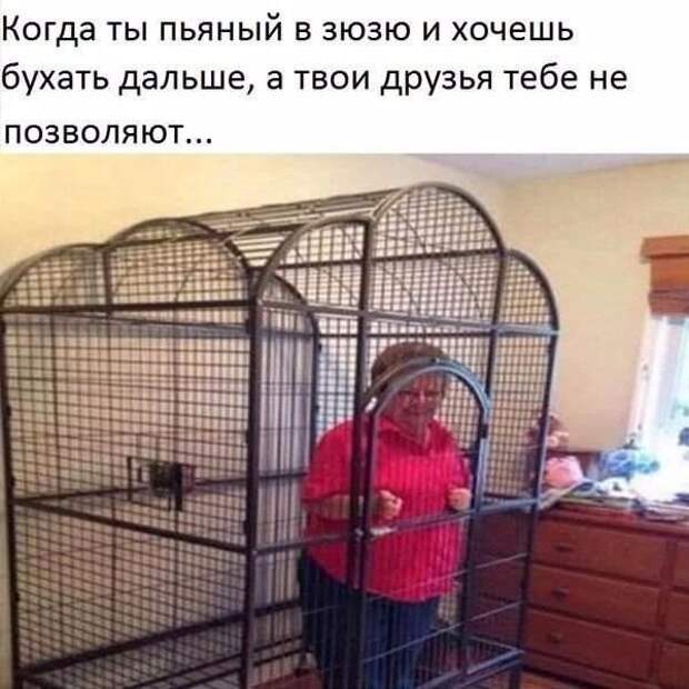 В каждой компании есть такой человек друзья, прикол, юмор