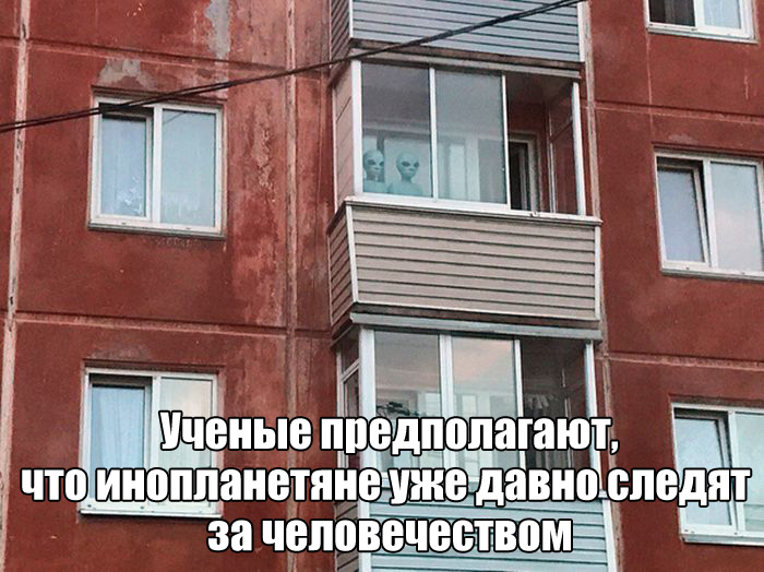 Подборка картинок. Вечерний выпуск (50 фото)