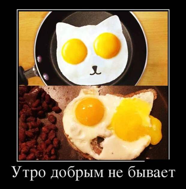 Подборка вечерних демотиваторов для настроения (12 фото)