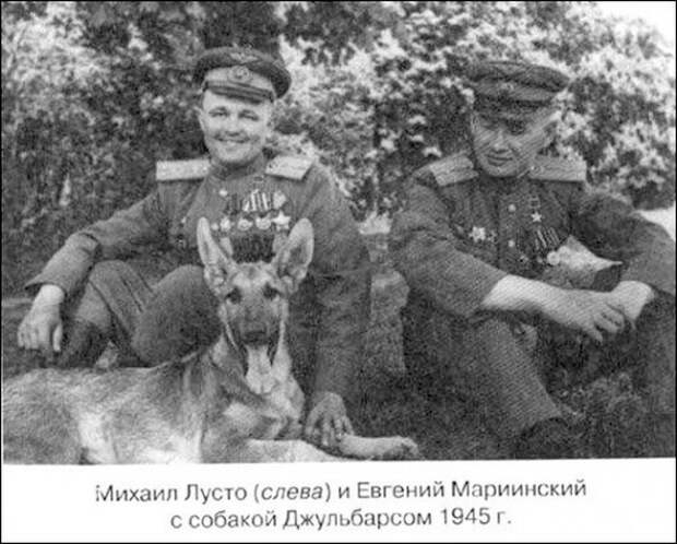 Псы войны война, история, ссср, факты