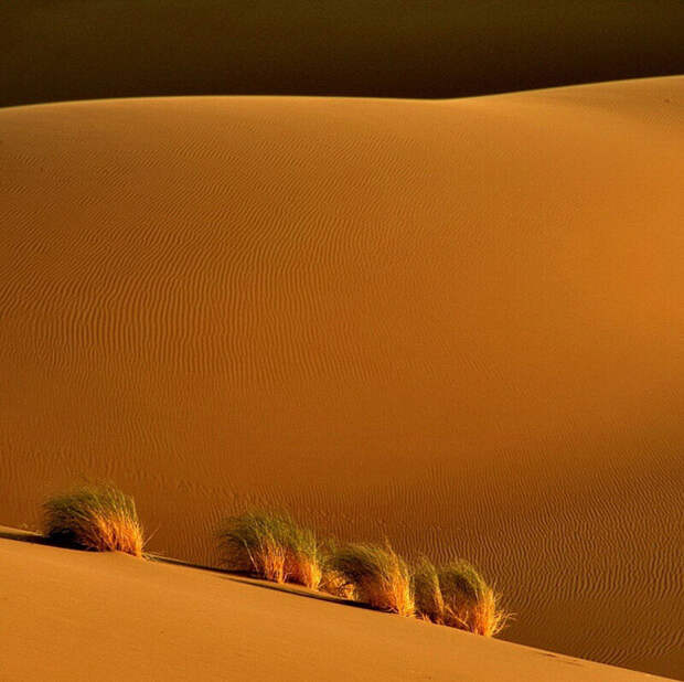 Фотограф Араш Карими (Arash Karimi)
