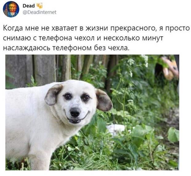 Телефон без чехла Телефон без чехла