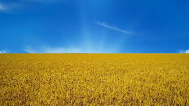 Зачем Россия вкладывает деньги в Украину Зачем Россия вкладывает деньги в Украину