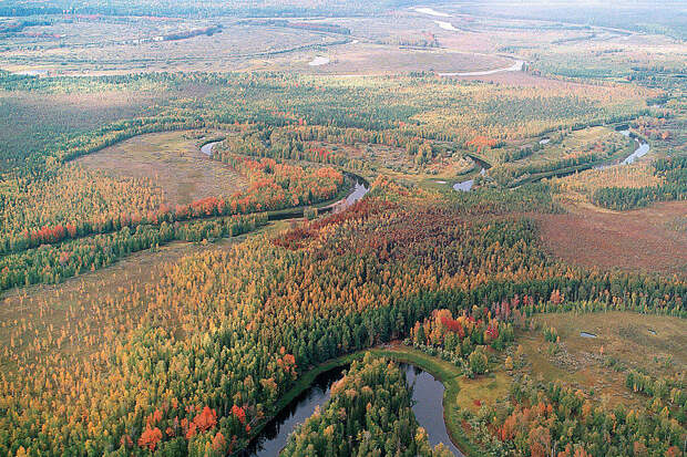 Взято из открытых источников