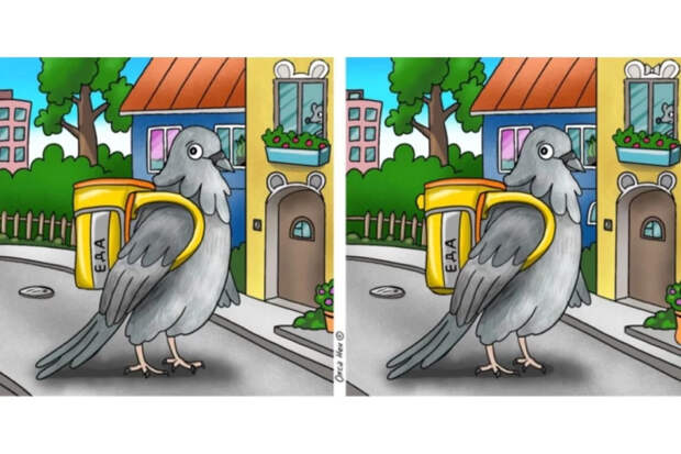 Голубь-доставщик: найдите 11 отличий на картинке с курьером