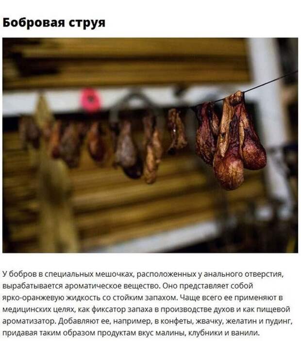 Еда с сюрпризом Еда с сюрпризом