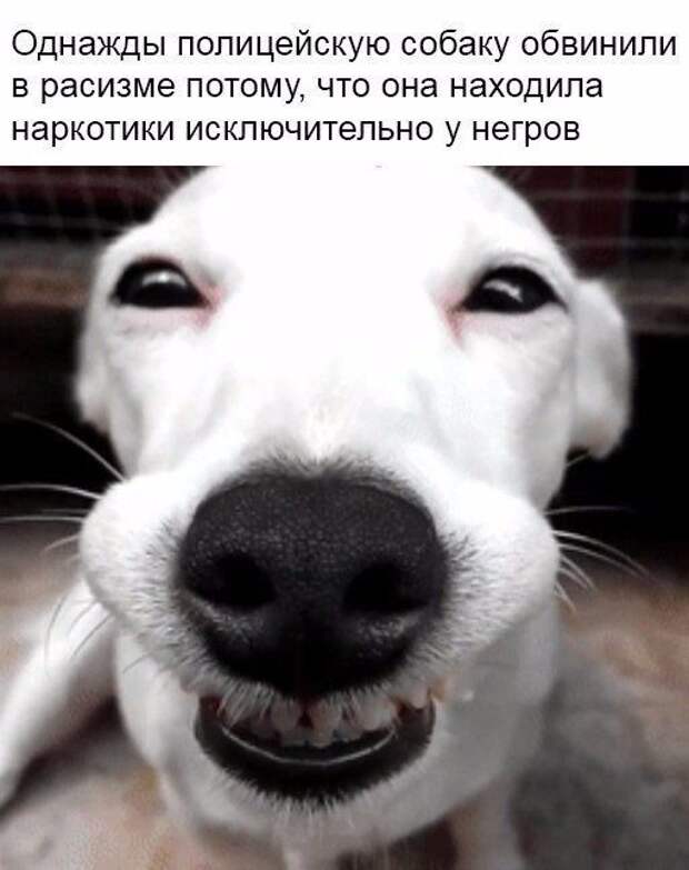 Позитивный пост Позитивный пост