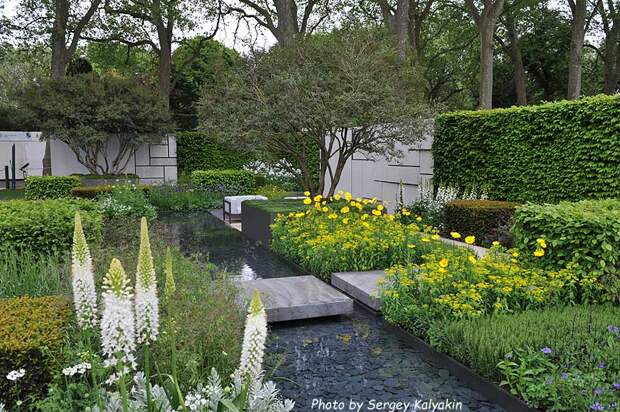 The Telegraph Garden 2015 (1).JPG