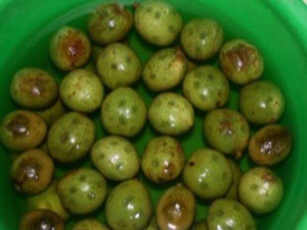 Зеленые грецкие орешки для варенья