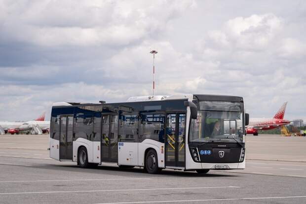 Впервые российские автобусы перевезут пассажиров Пулково