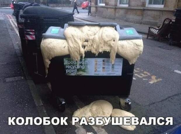 Фотомемы мемы, надписи, юмор