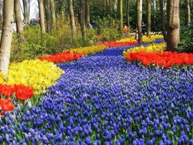 Пятничный позитив в картинках и фото (34 шт)