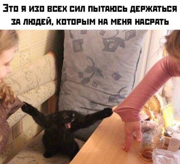 Прикольные картинки абавсём:D