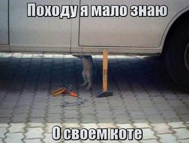 Свежая подборка автоприколов авто, автоприколы, приколы