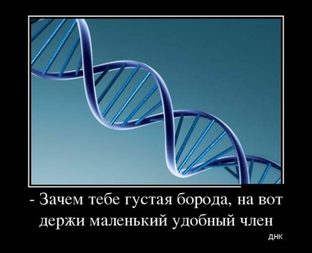 Демотиваторы на пятницу (30 фото)