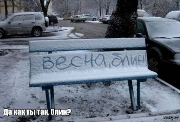 Весна уже пришла? Или пока еще нет? (23 фото)
